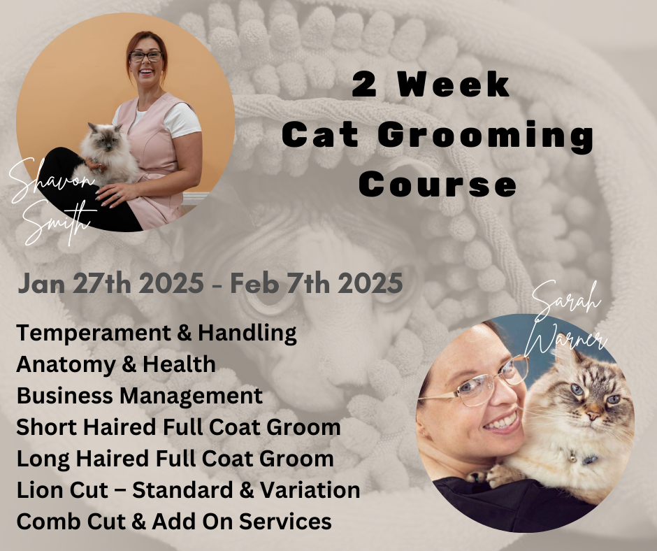 2 week Cat Grooming Training Course